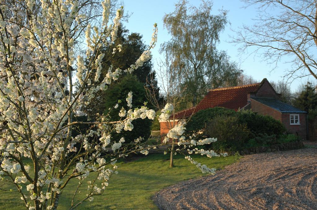 Field Cottage Bed And Continental Breakfast East Harling Δωμάτιο φωτογραφία